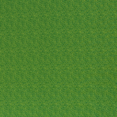 Baumwolle "Dotty" kiwi grün